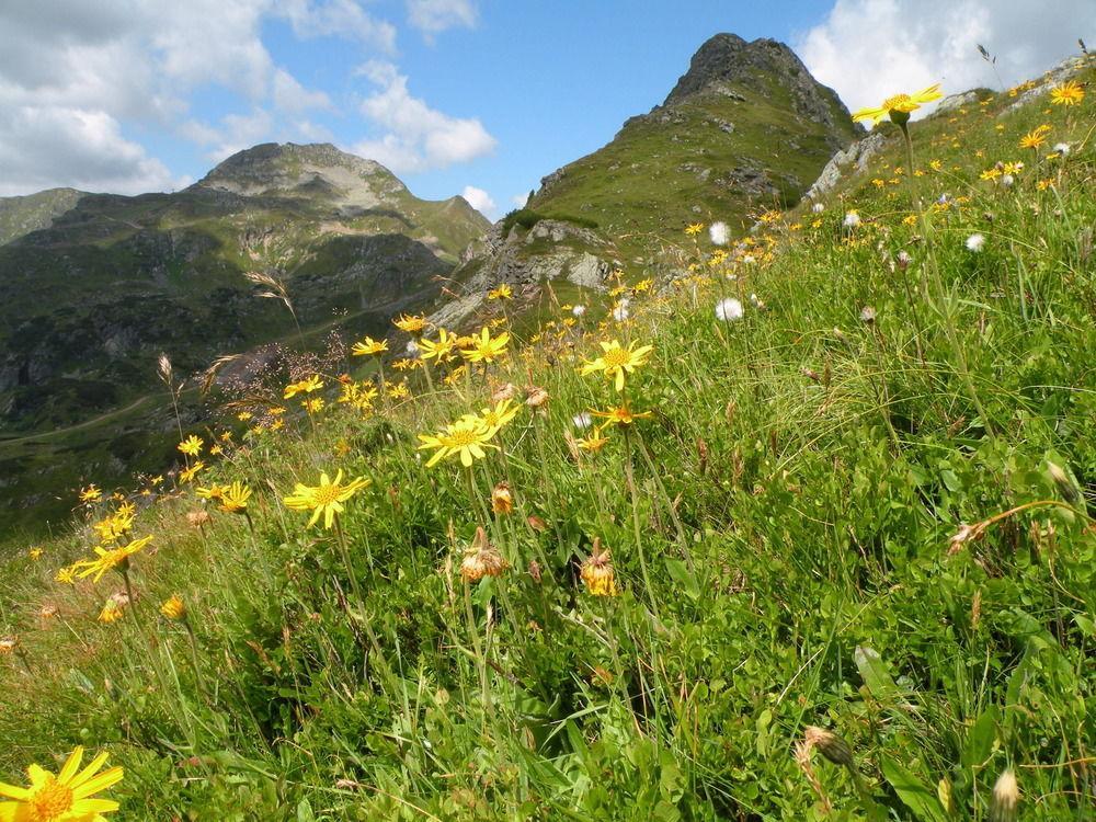 Premium Wanderhotel Steirerhof Schladming Eksteriør bilde