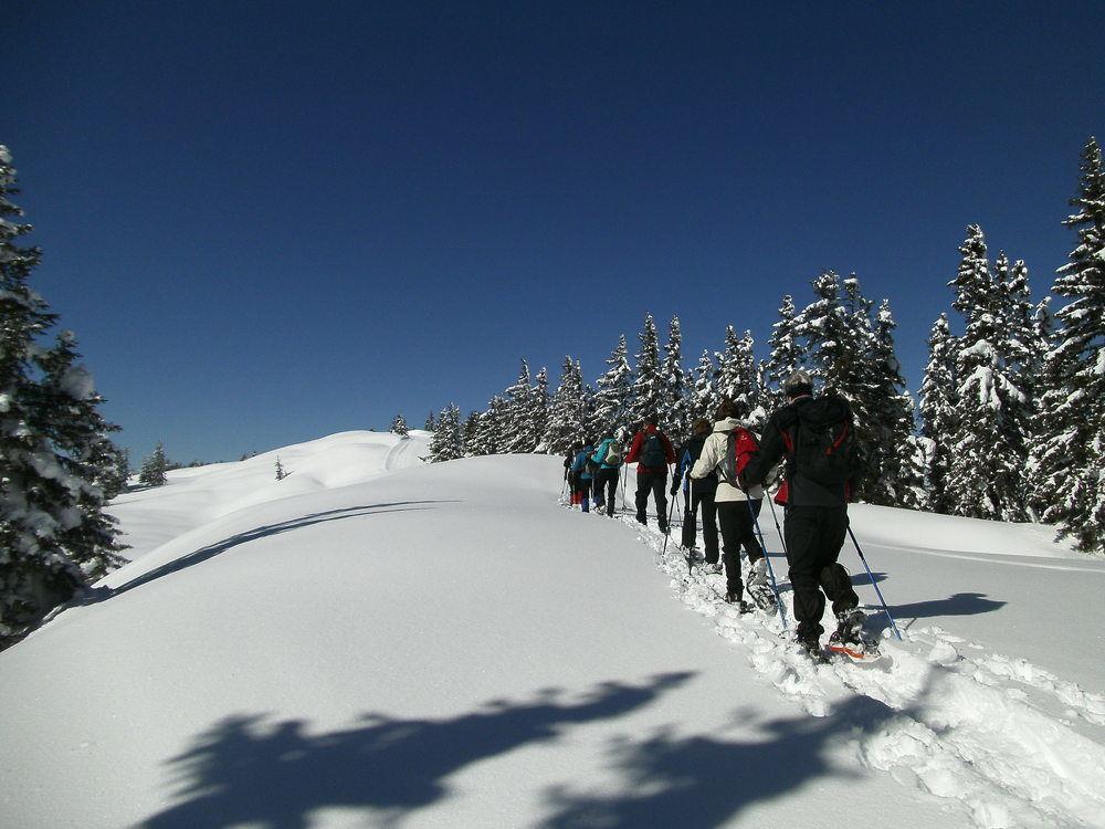 Premium Wanderhotel Steirerhof Schladming Eksteriør bilde